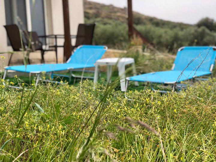 Villa Oniro Kreta 칼라마키 외부 사진